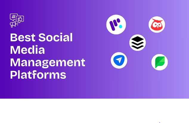 Social Media Management